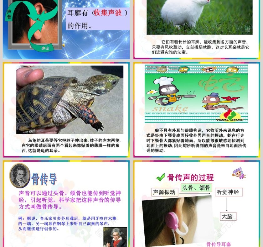 青岛版五年级科学上册-怎样听到声音教学ppt课件第7张