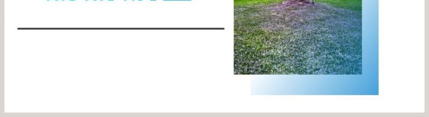 部编版一年级语文下册语文园地语文课件PPT第5张