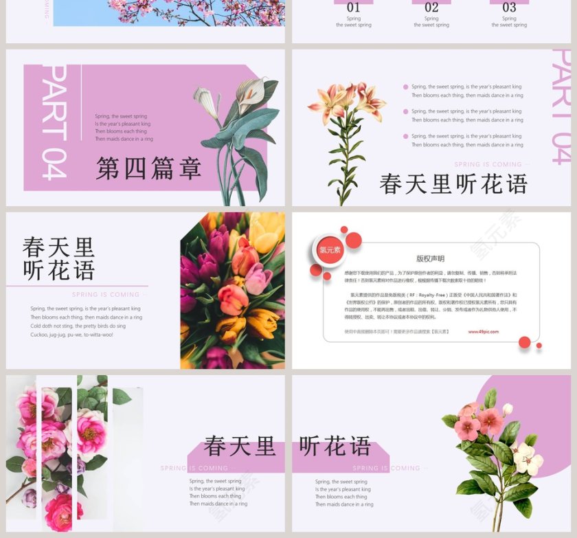 春天里听花语PPT第4张