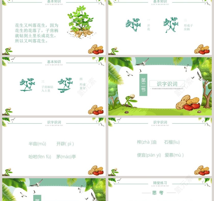 绿色简约清新五年级语文课件《落花生》PPT第2张