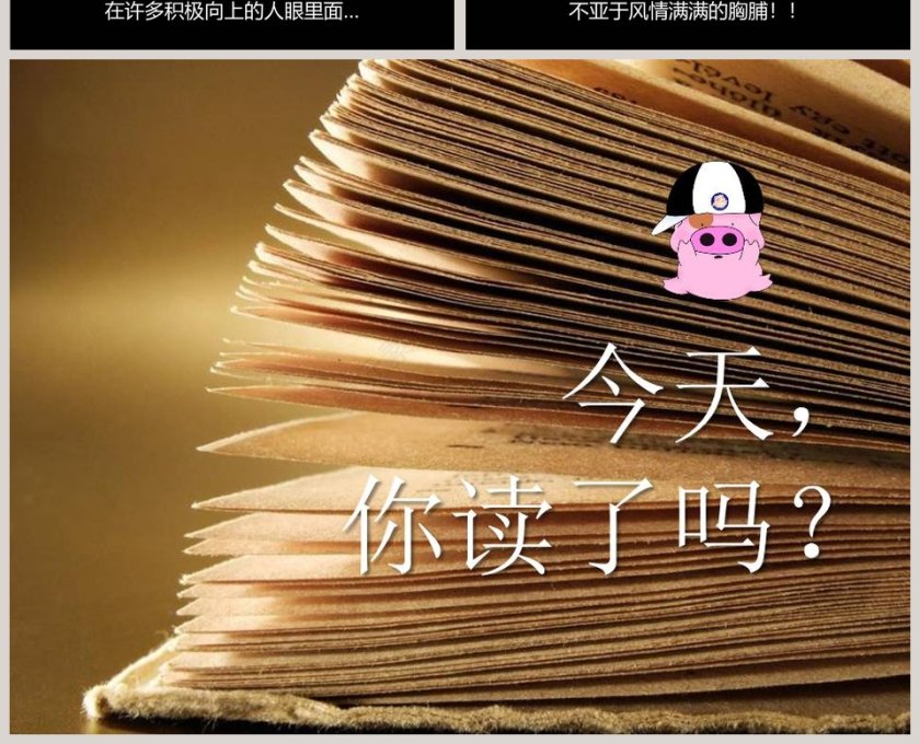 三天不读书智商输给猪第4张