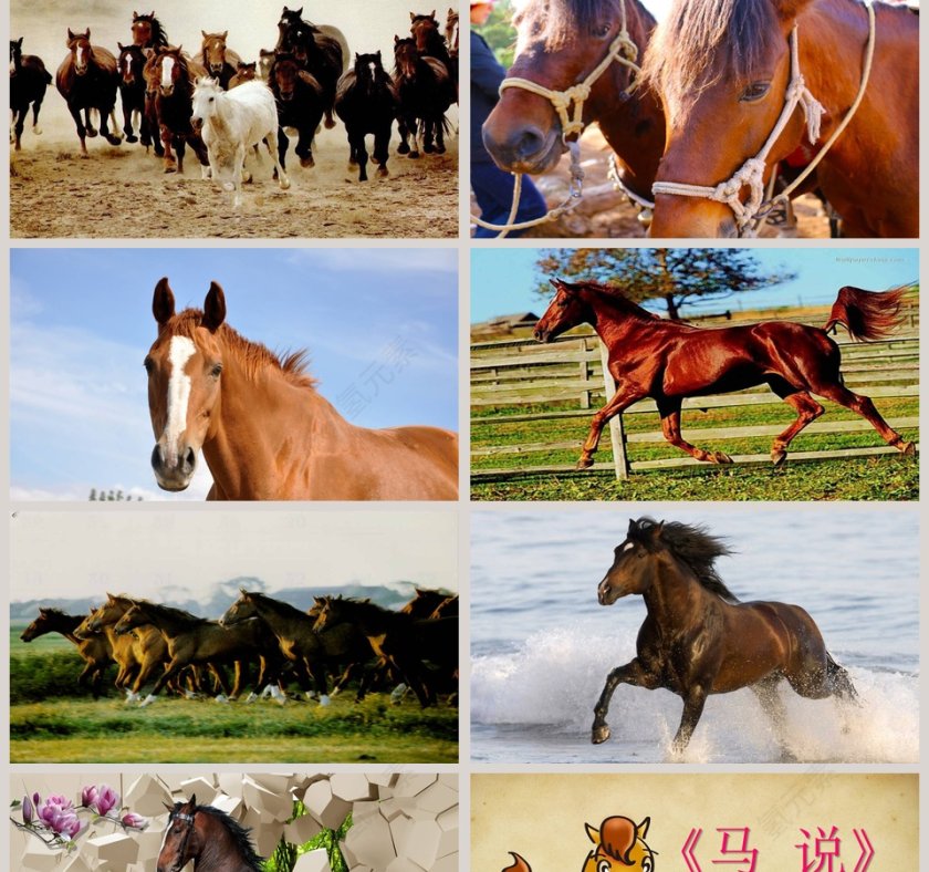 八年级语文课件《马说》PPT第2张