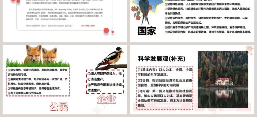 道德与法治九年级上册-共筑生命家园教学ppt课件第3张