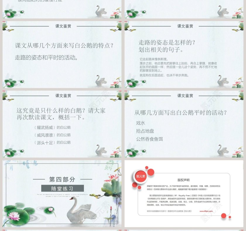 白公鹅人教版小学四年级课件范本PPT第4张