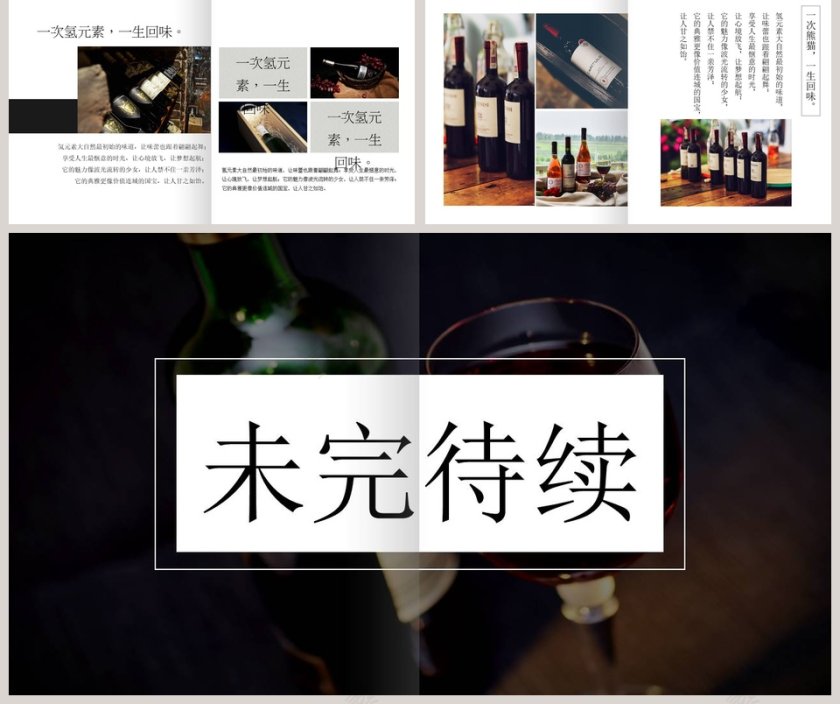 熊猫意境 文艺红酒介绍营销模板第5张