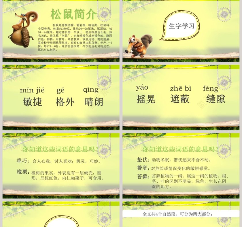 五年级语文课件PPT松鼠第2张