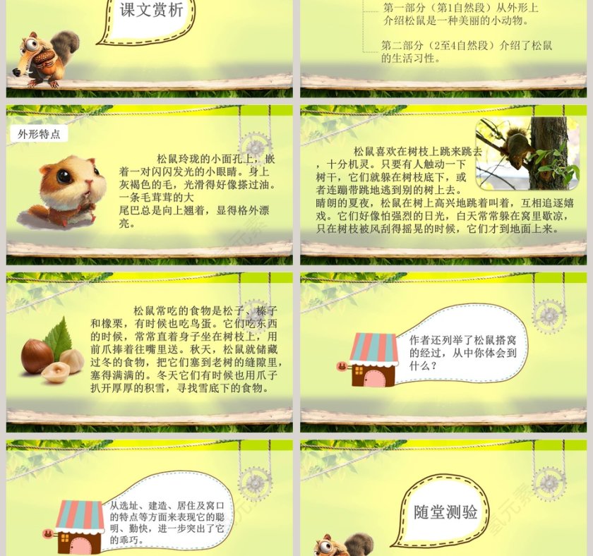 五年级语文课件PPT松鼠第3张