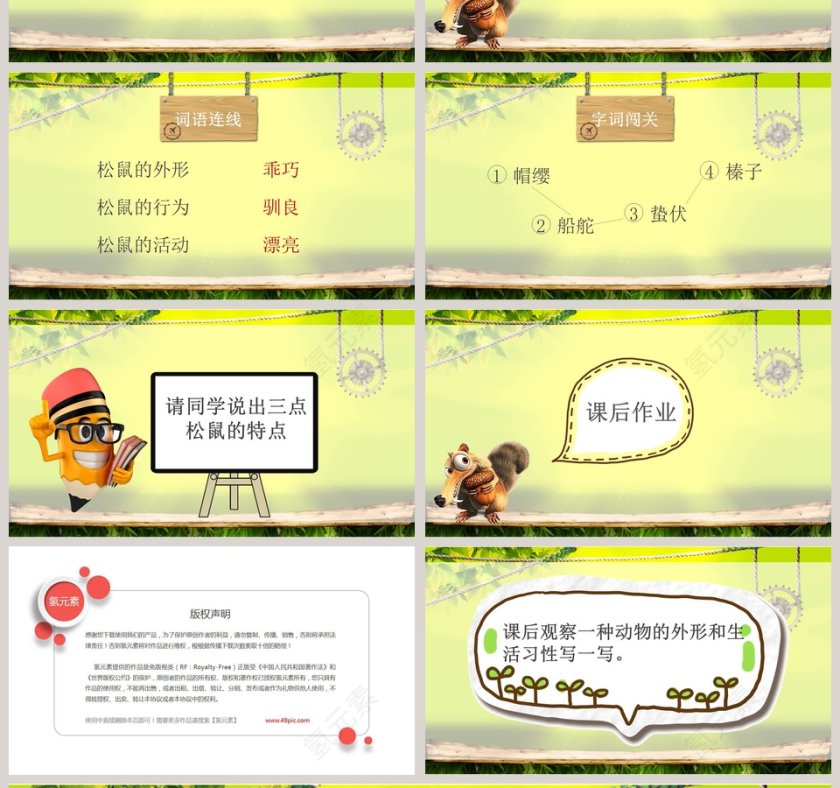 五年级语文课件PPT松鼠第4张