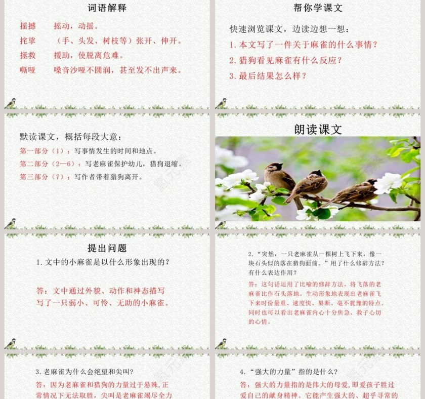 课文解析麻雀语文课件PPT第2张