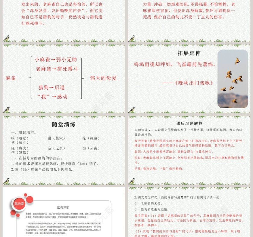 课文解析麻雀语文课件PPT第3张