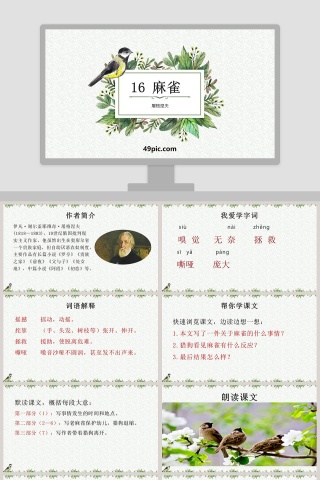 课文解析麻雀语文课件PPT