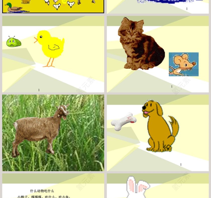 2-动物吃什么教学ppt课件第2张