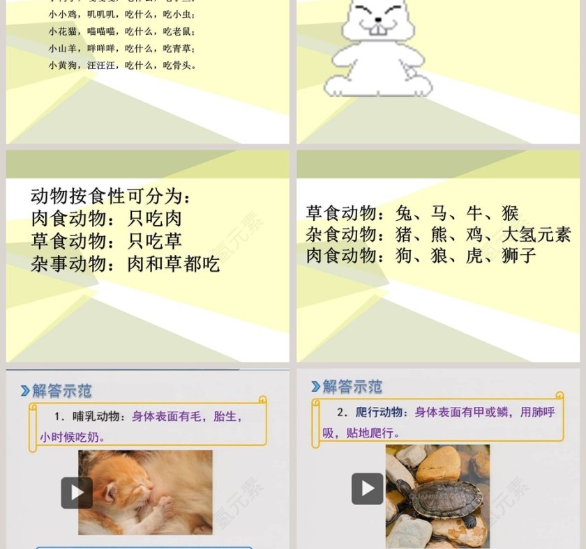 2-动物吃什么教学ppt课件第3张