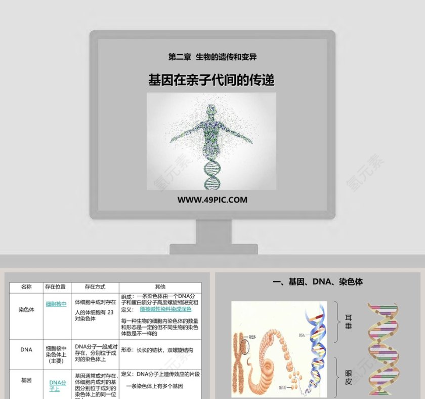 基因在亲子代间的传递与PPT模板设计第1张