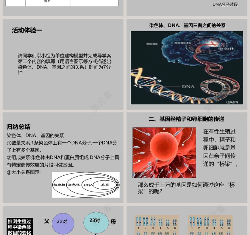 基因在亲子代间的传递与PPT模板设计第2张