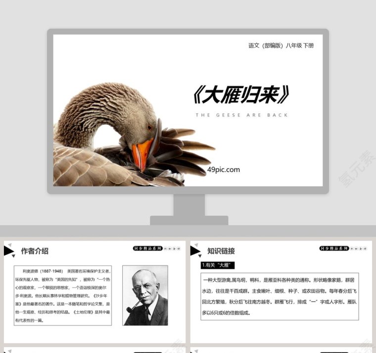 部编版八年级语文下册大雁归来语文课件PPT第1张