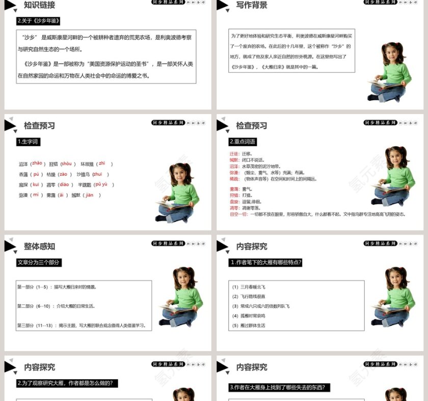 部编版八年级语文下册大雁归来语文课件PPT第2张