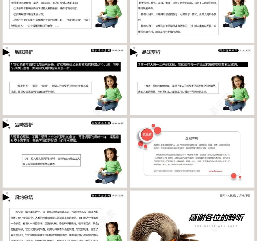 部编版八年级语文下册大雁归来语文课件PPT第3张