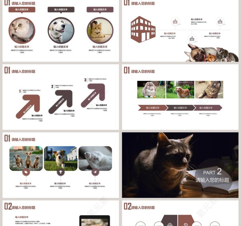 宠物美容宠物医院PPT第2张