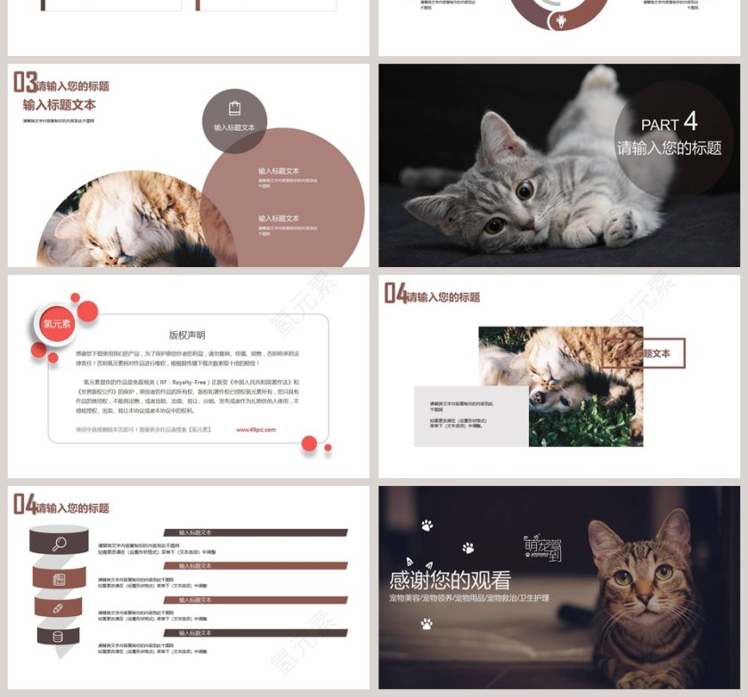 宠物美容宠物医院PPT第4张