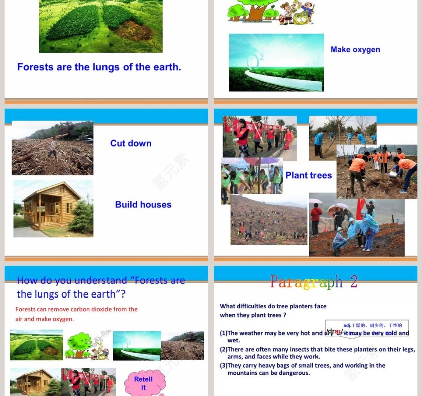 What can we do at home to protect the environment-Section D教学ppt课件第3张