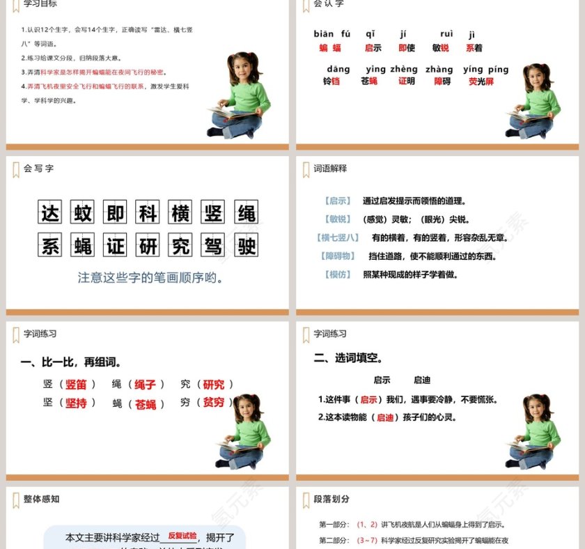 四年级语文上册蝙蝠和雷达语文课件PPT第2张