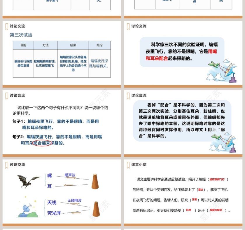 四年级语文上册蝙蝠和雷达语文课件PPT第4张