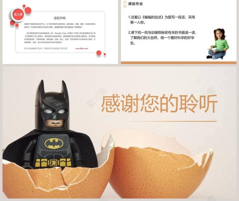 四年级语文上册蝙蝠和雷达语文课件PPT第5张