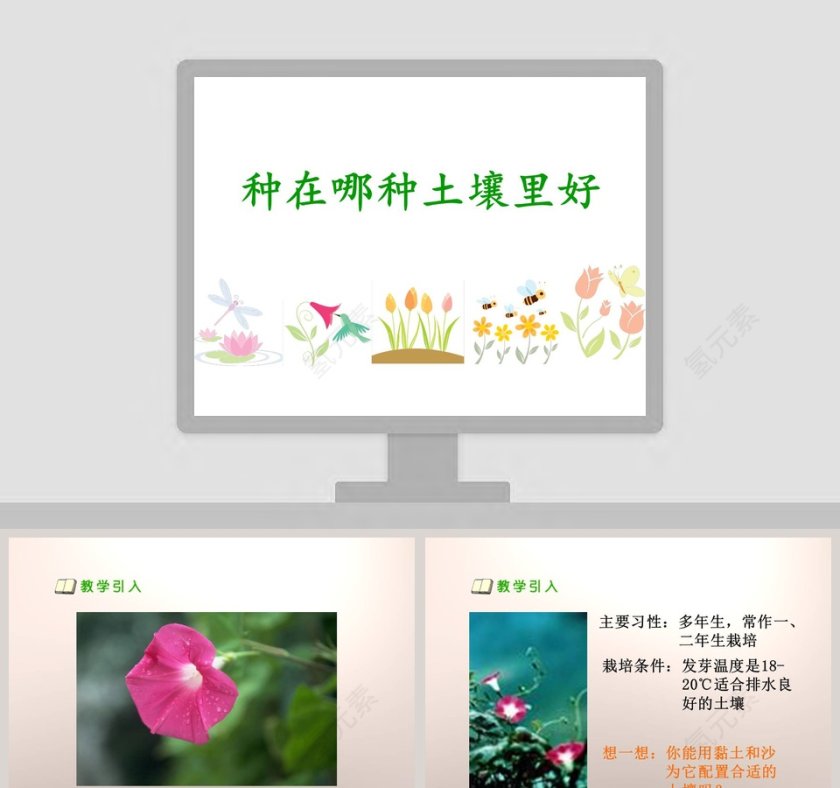种在哪种土壤里好教学ppt课件第1张