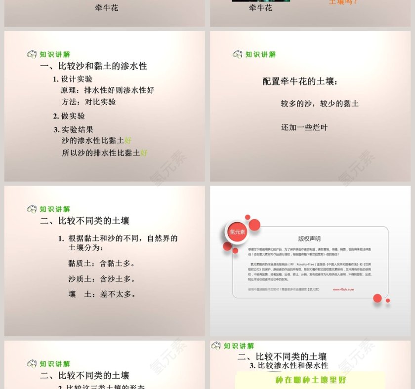 种在哪种土壤里好教学ppt课件第2张