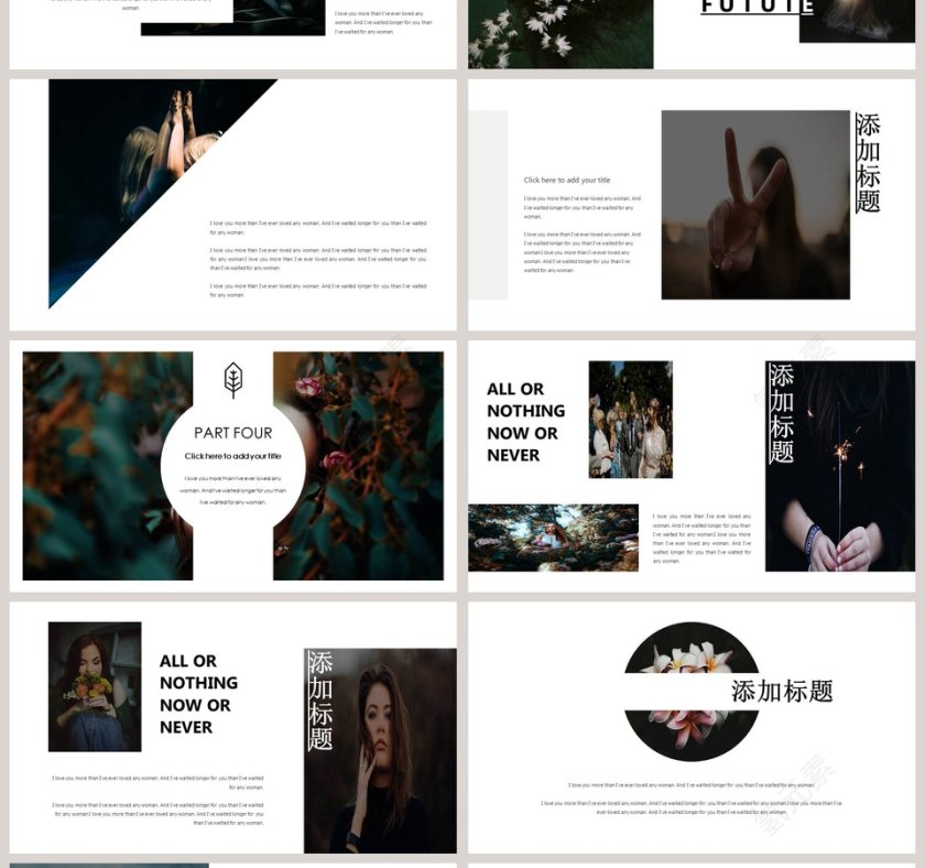 精美高级时尚创业计划PPT模板第4张