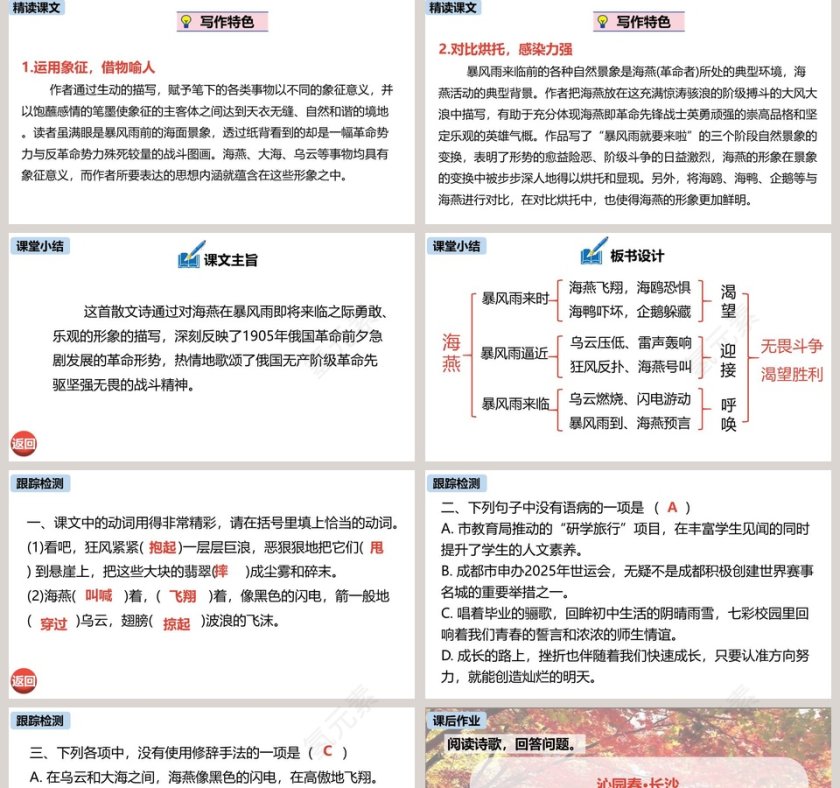 统编版九年级语文下册海燕语文课件PPT第5张