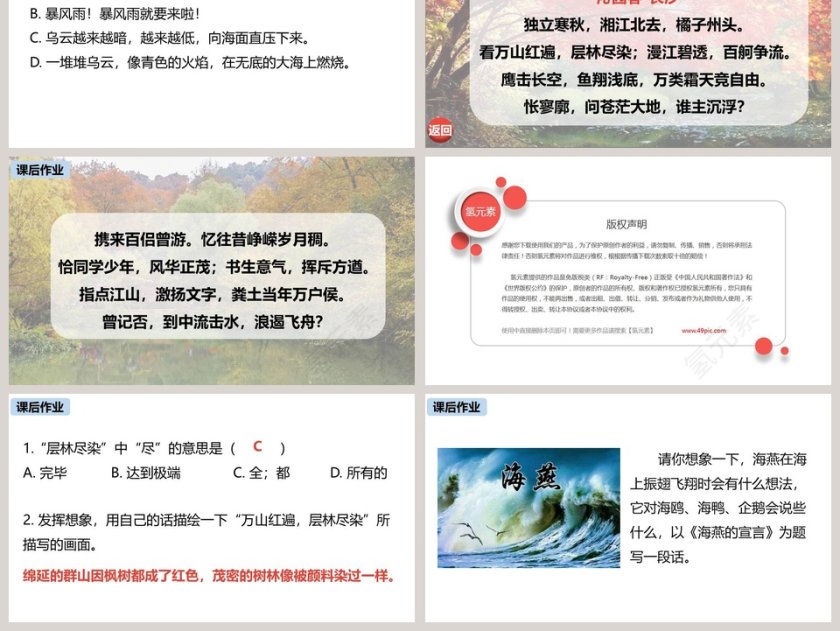 统编版九年级语文下册海燕语文课件PPT第6张