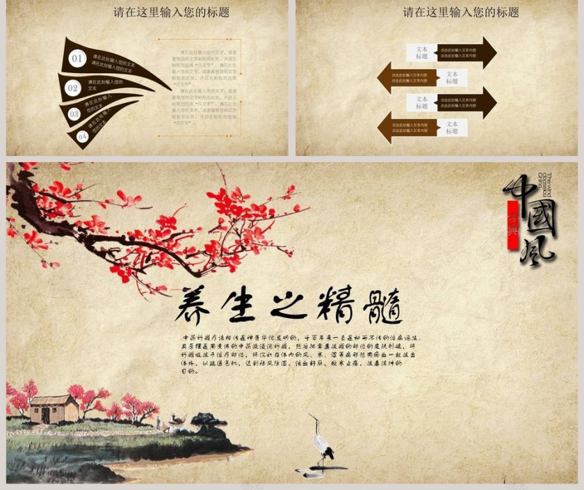 中医养生文化PPT第5张