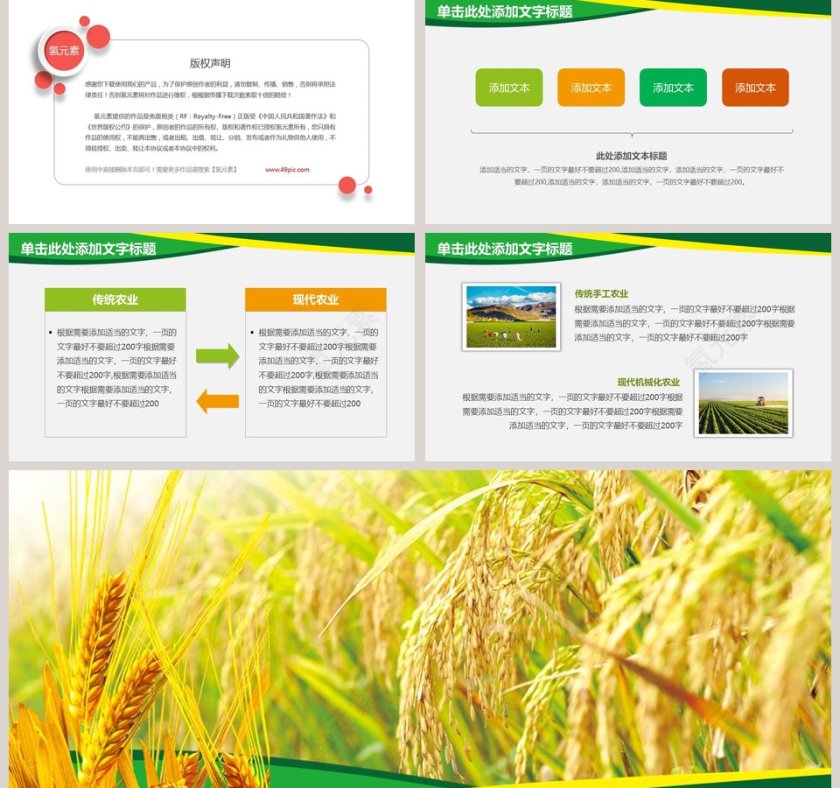 农业水稻玉米小麦农业招商农产品宣传PPT模板第5张