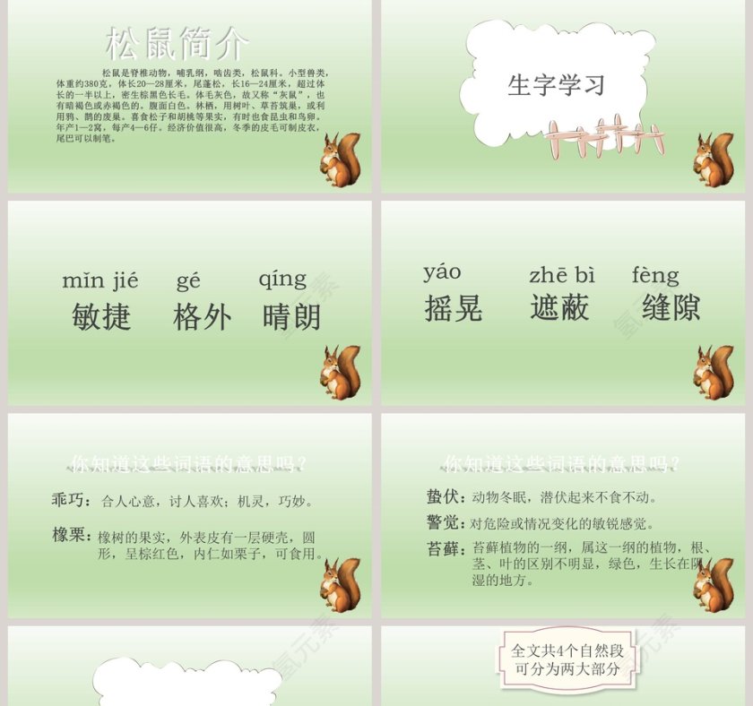 五年级语文课件PPT松鼠第2张