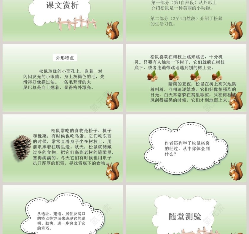 五年级语文课件PPT松鼠第3张