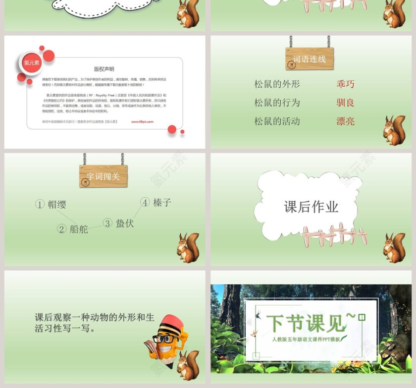 五年级语文课件PPT松鼠第4张
