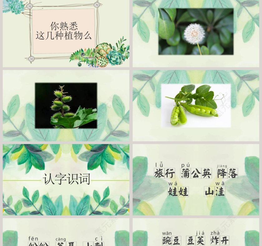 植物妈妈有办法ppt第2张