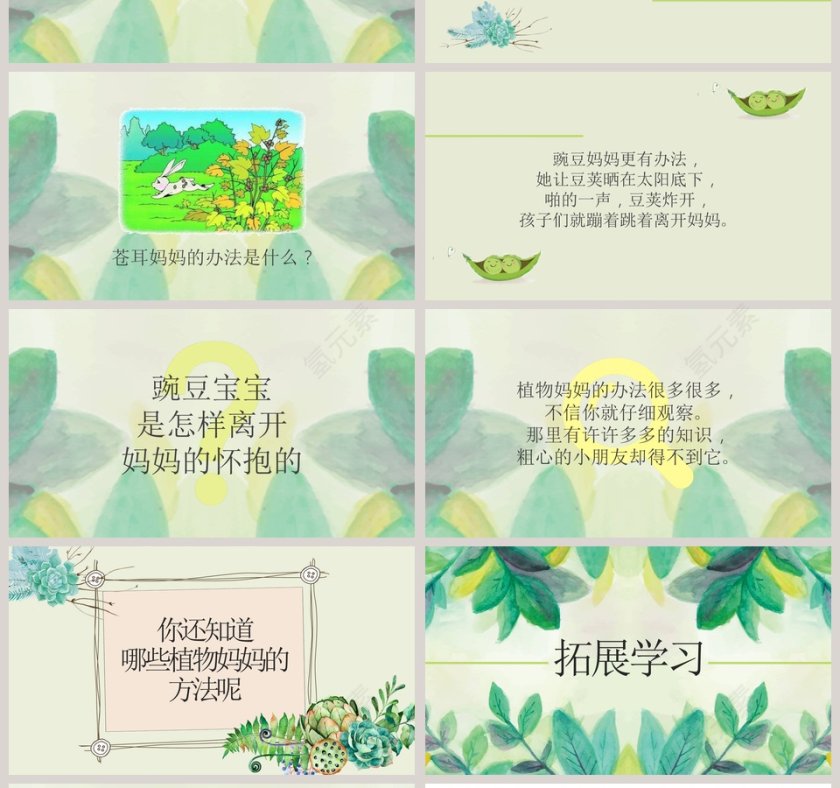 植物妈妈有办法ppt第4张