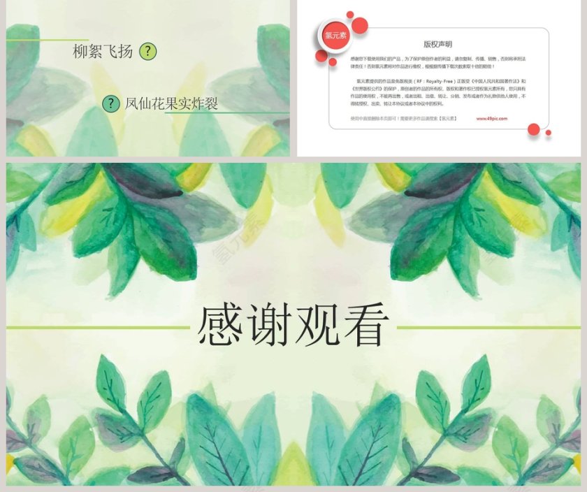 植物妈妈有办法ppt第5张