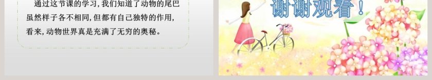 课文解析一年级语文下册小壁虎借尾巴语文课件PPT第6张