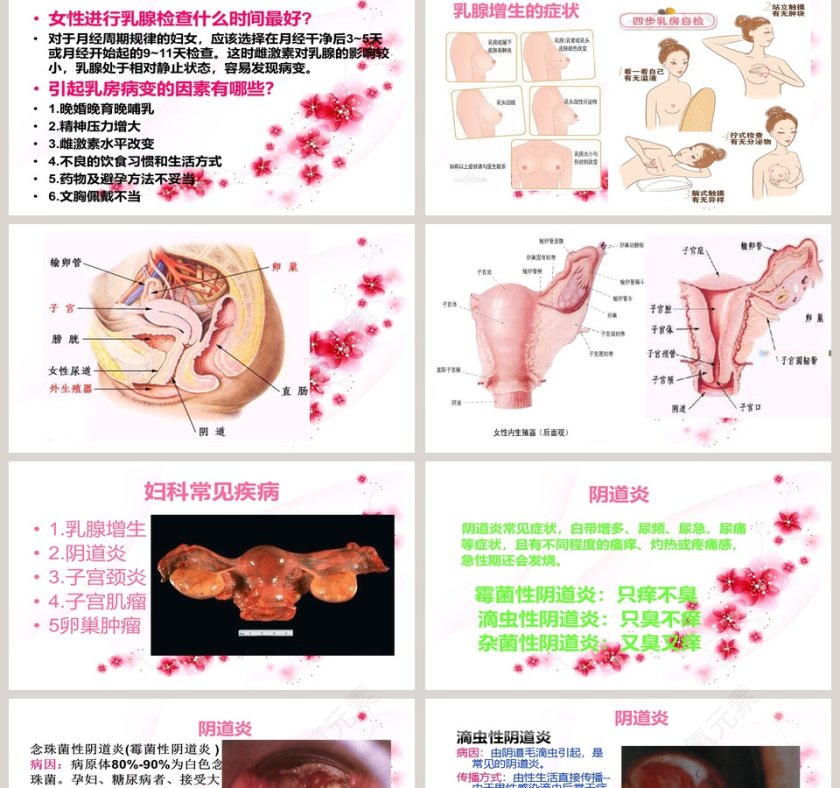 简约清新妇科健康知识讲座PPT模板第2张