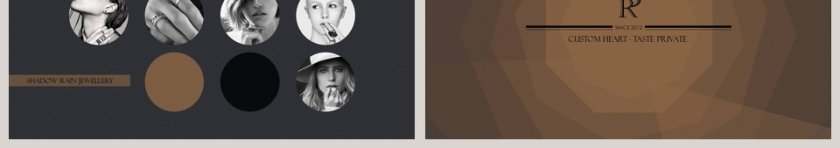 精美大气欧美风企业计划书PPT第3张