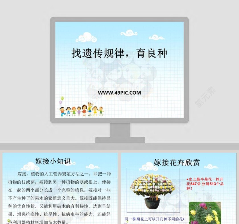 找遗传规律育良种教学ppt课件第1张