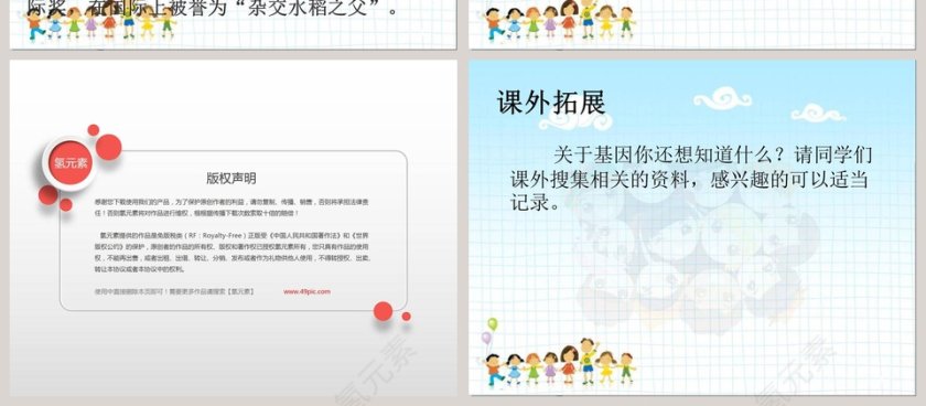 找遗传规律育良种教学ppt课件第4张