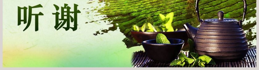 绿色简约禅茶文化PPT第5张