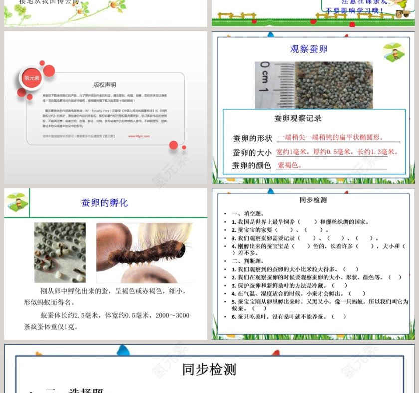 蚕宝宝出生了-第教学ppt课件第2张