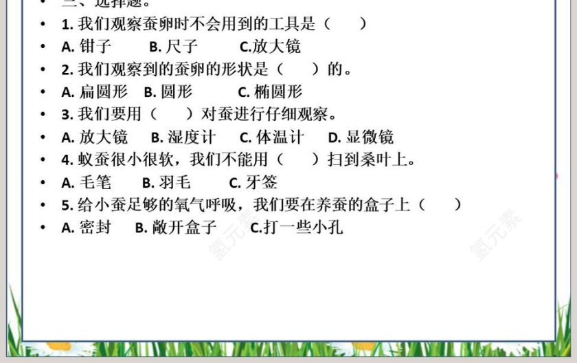 蚕宝宝出生了-第教学ppt课件第3张