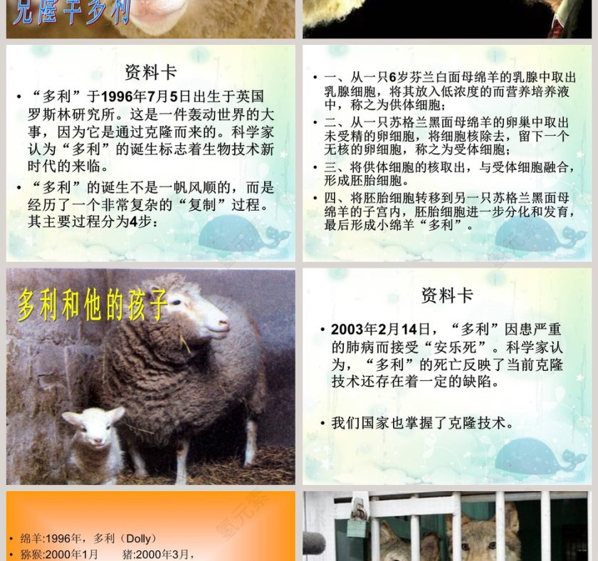 生物繁殖新技术教学ppt课件第2张